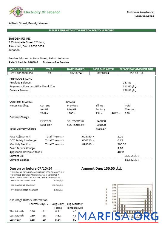 Printable Lebanon Electricity of Lebanon business utility bill template in Word and PDF formats